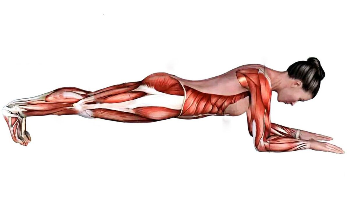 Quels muscles travaillent quand on fait une planche